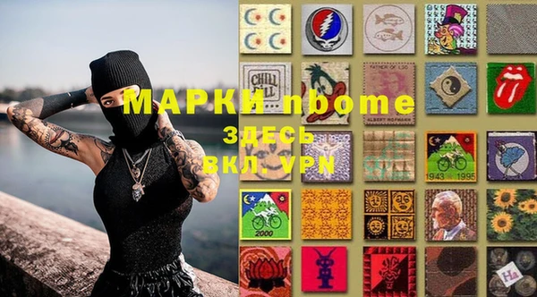 шишки Баксан