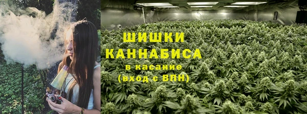 шишки Баксан