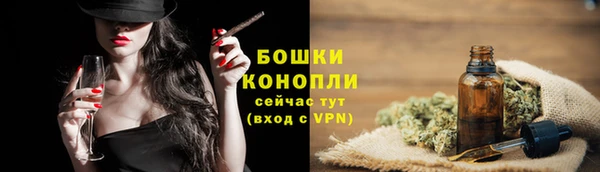 бошки Заводоуковск