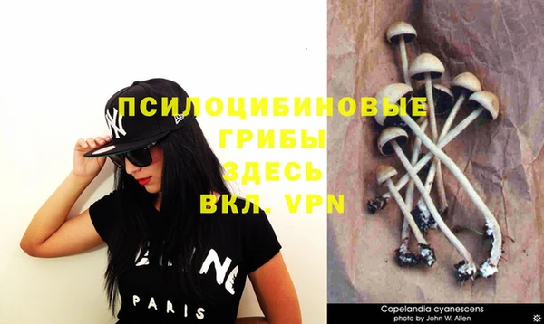 спиды Балабаново
