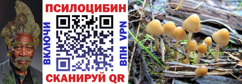 Псилоцибиновые грибы мухоморы  Волосово 